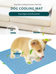 Dog Lover Pet Summer Cooling Mat – Keep Pets Cool and Comfortable"