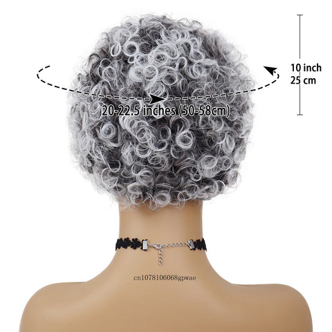 Synthetic Hair Short Grey Wigs Afro Curly for African American Women Pixie Hairstyle Daily