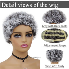 Synthetic Hair Short Grey Wigs Afro Curly Wig for African American Black Women Girls Pixie Hairstyle Daily Cosplay Party Costume