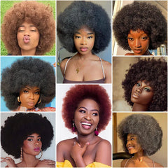 Short Synthetic Hair Afro Kinky Curly Wigs With Bangs For Black Women African Synthetic Ombre Glueless Cosplay Brown Wig