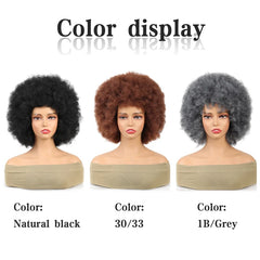 Short Synthetic Hair Afro Kinky Curly With Bangs For African Women Synthetic Ombre Glueless Wig