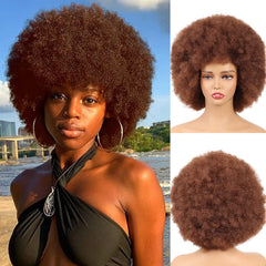Short Synthetic Hair Afro Kinky Curly Wigs With Bangs For Black Women African Synthetic Ombre Glueless Cosplay Brown Wig